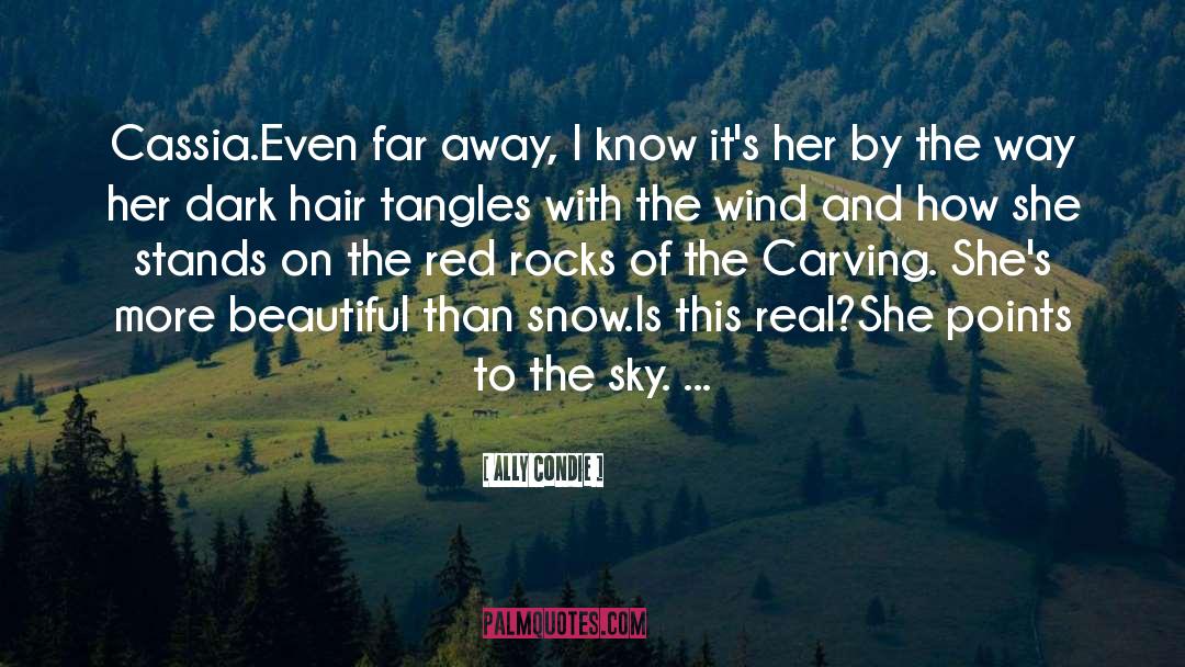 To The Sky quotes by Ally Condie