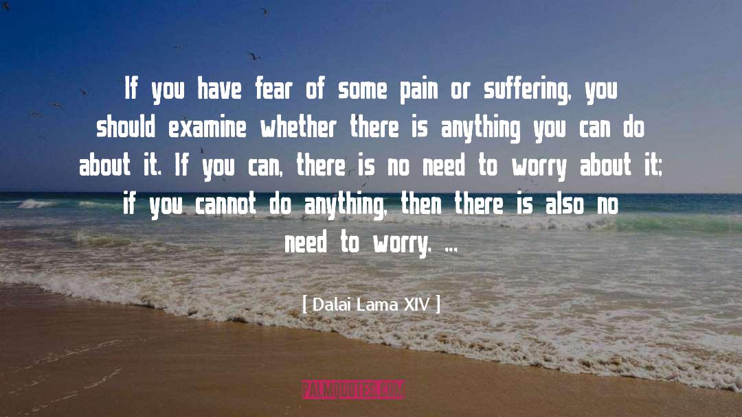 To Worry quotes by Dalai Lama XIV