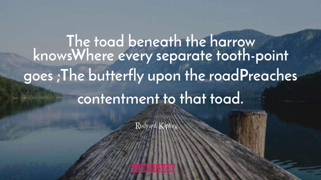 Toad quotes by Rudyard Kipling