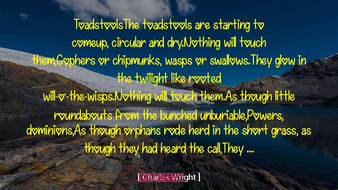 Toadstools quotes by Charles Wright