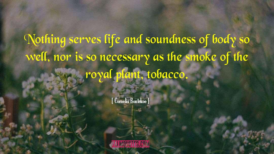Tobacco Smoking quotes by Cornelis Bontekoe
