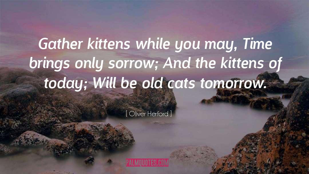 Today Tomorrow quotes by Oliver Herford