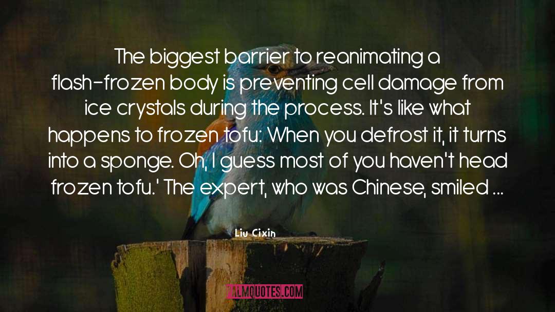 Tofu quotes by Liu Cixin