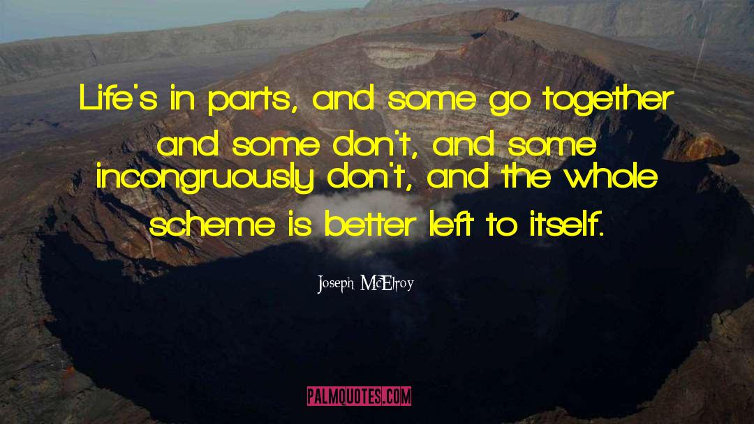 Together Foreve quotes by Joseph McElroy
