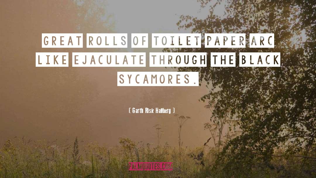 Toilet Paper Arc quotes by Garth Risk Hallberg