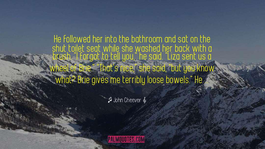 Toilet Seat quotes by John Cheever