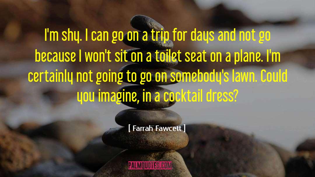 Toilet Seat quotes by Farrah Fawcett