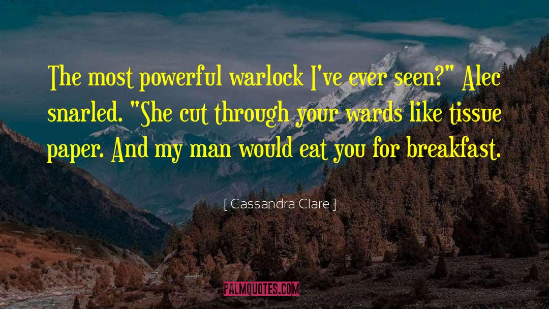 Toilet Tissue quotes by Cassandra Clare