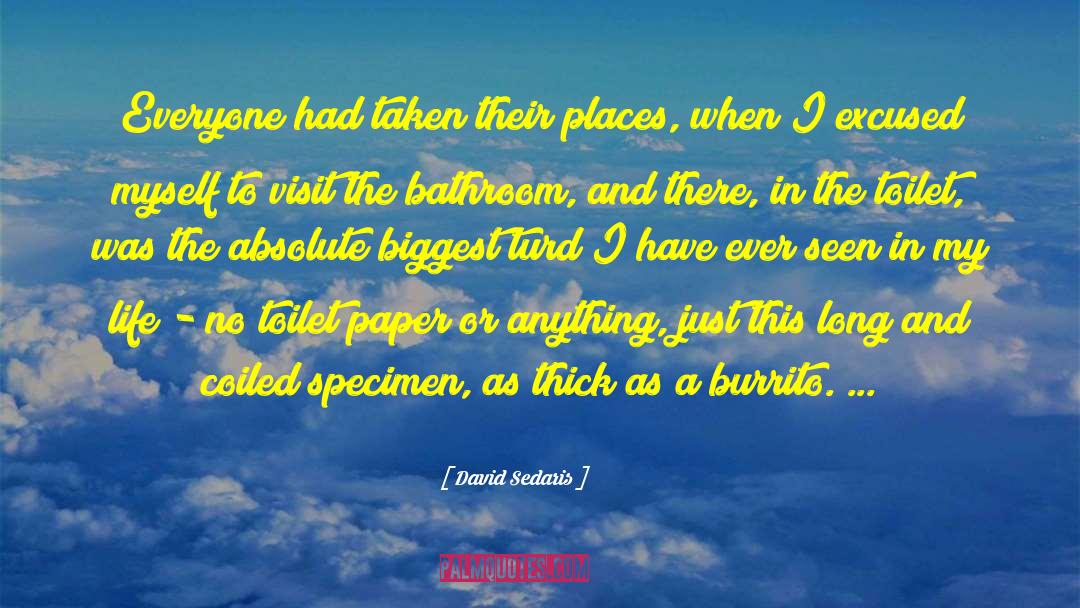 Toilet Tissue quotes by David Sedaris