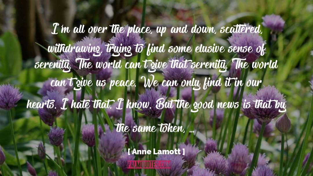 Token quotes by Anne Lamott