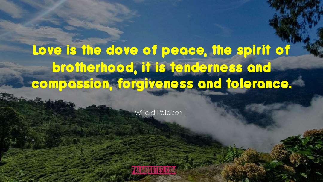 Tolerance And Diversity quotes by Wilferd Peterson