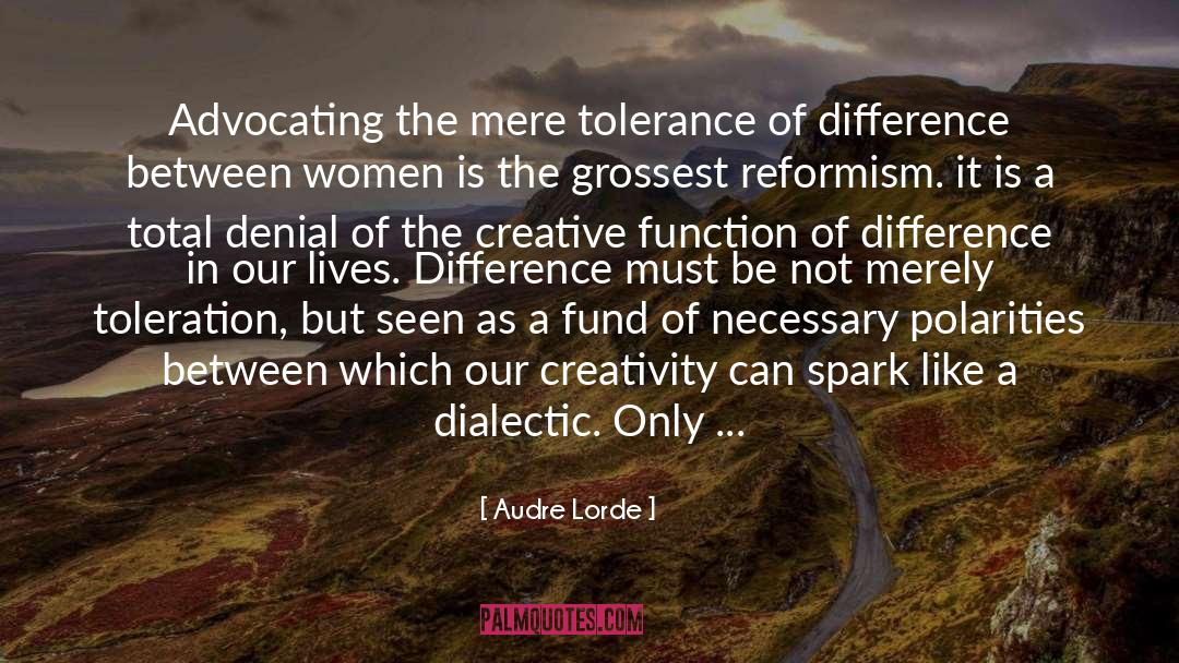 Tolerance quotes by Audre Lorde