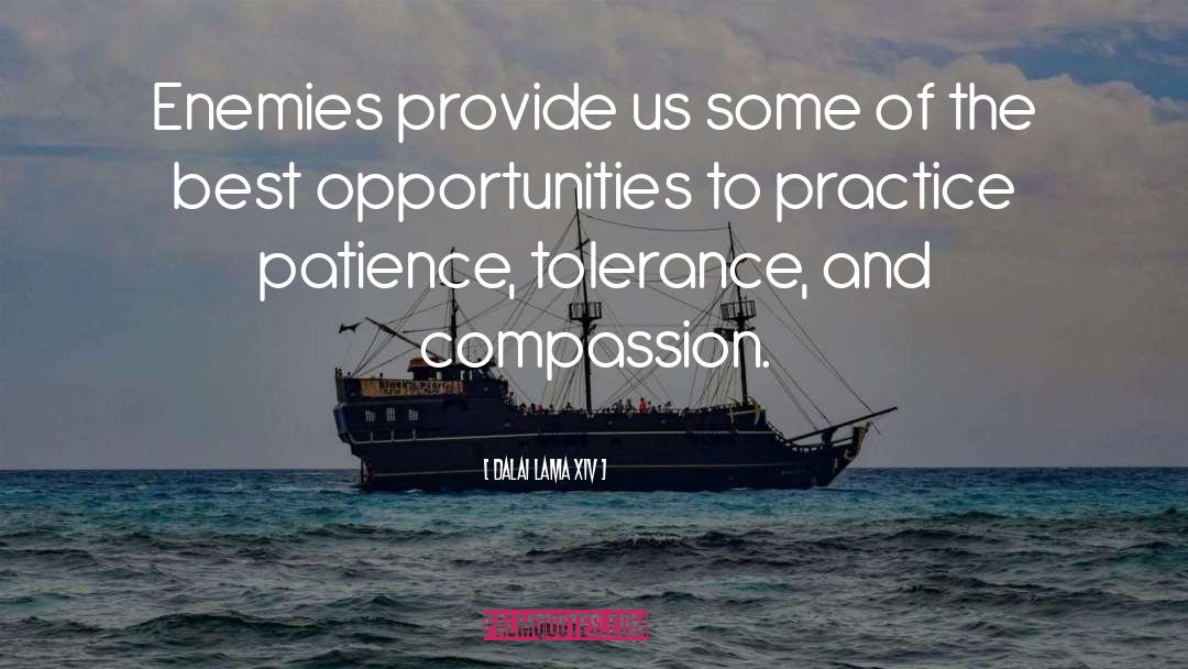Tolerance quotes by Dalai Lama XIV