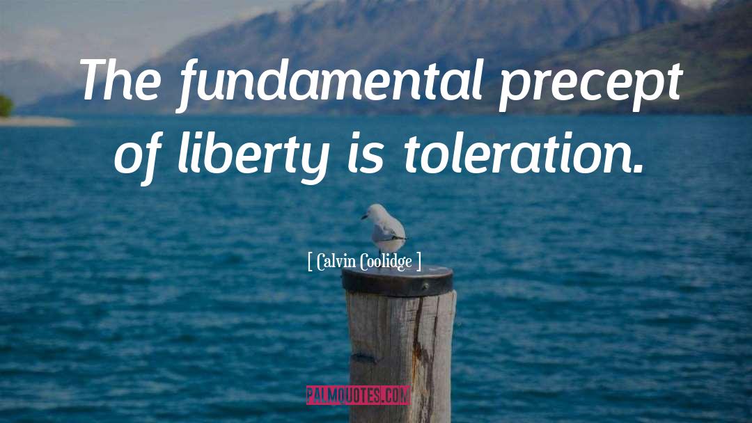 Toleration quotes by Calvin Coolidge