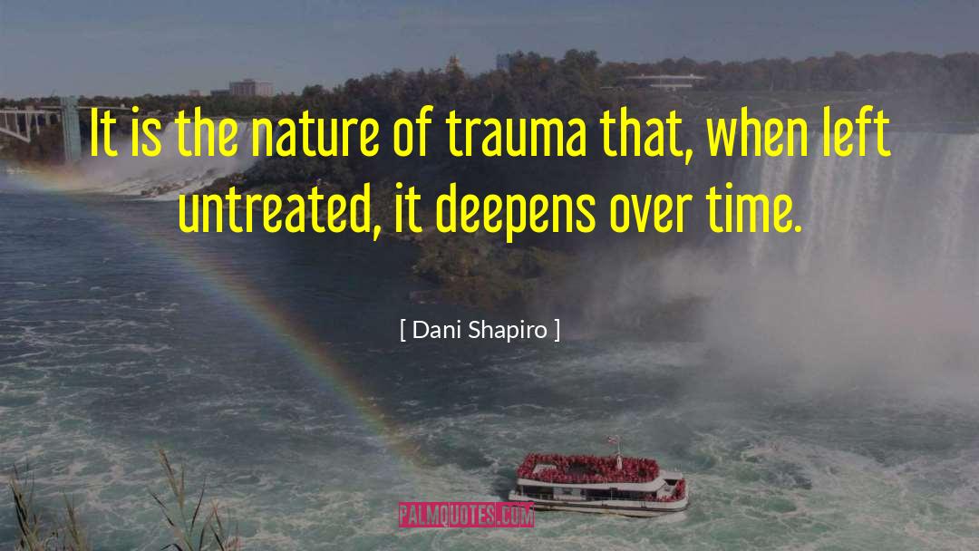 Toll Of Trauma quotes by Dani Shapiro