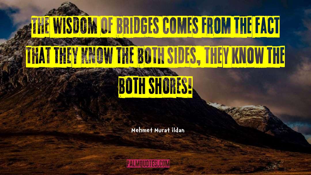 Toltec Wisdom quotes by Mehmet Murat Ildan