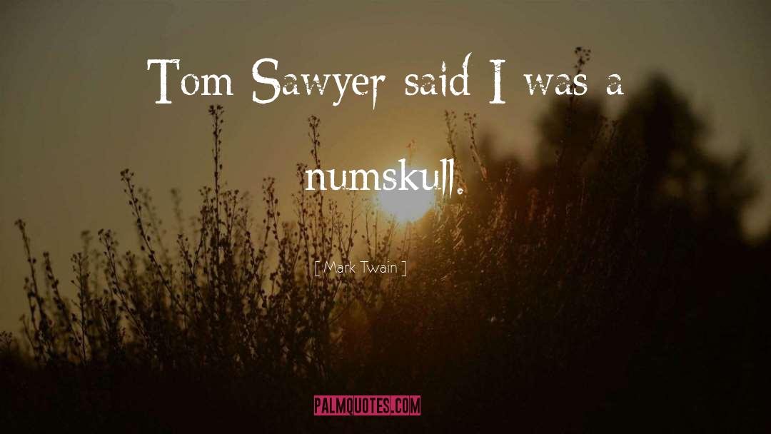 Tom Sawyer quotes by Mark Twain