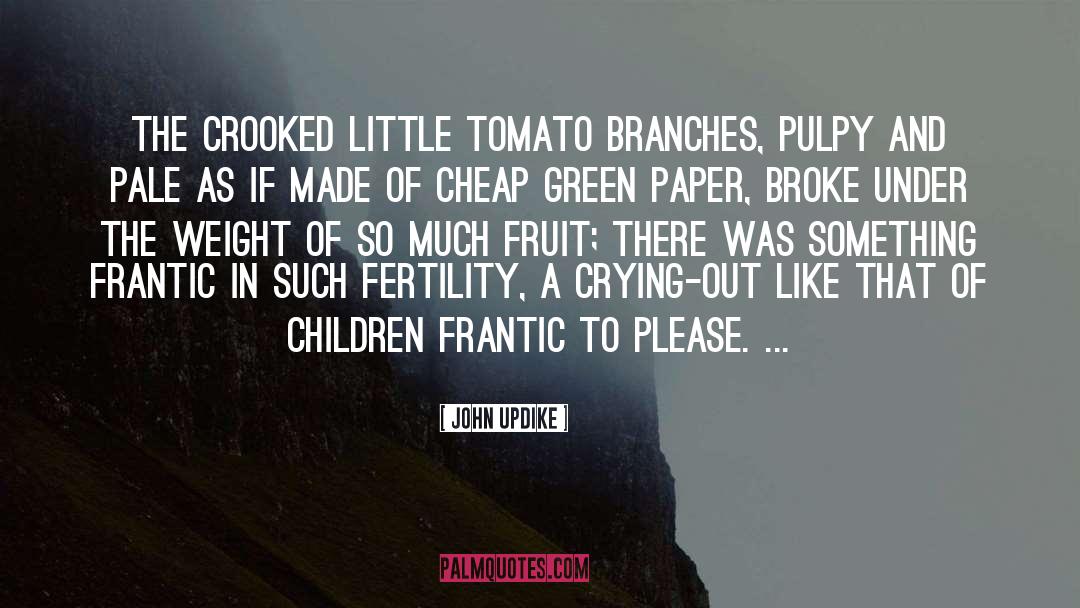 Tomato quotes by John Updike