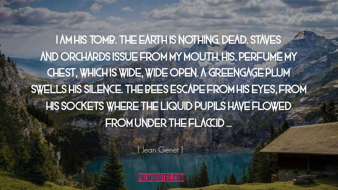 Tomb quotes by Jean Genet