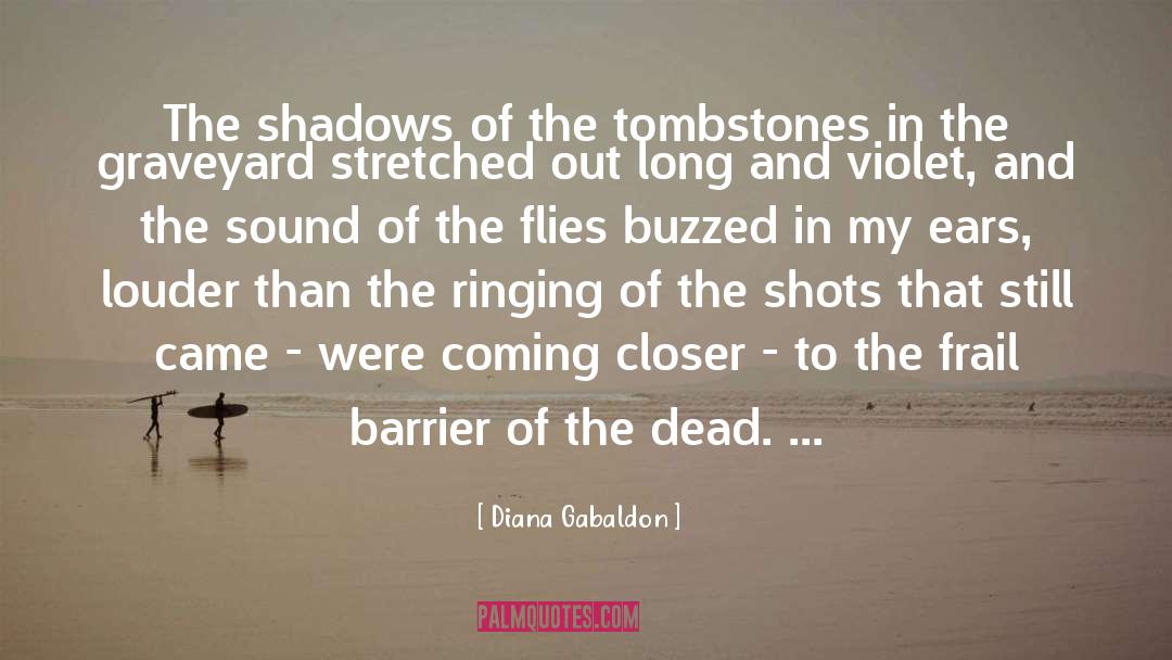 Tombstones quotes by Diana Gabaldon