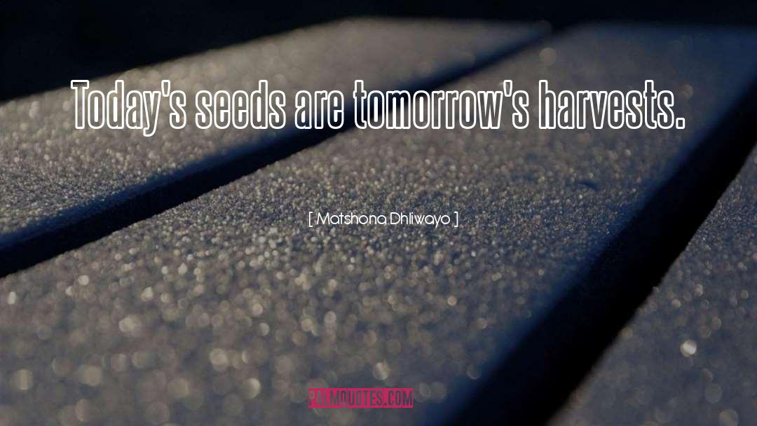 Tomorrow quotes by Matshona Dhliwayo