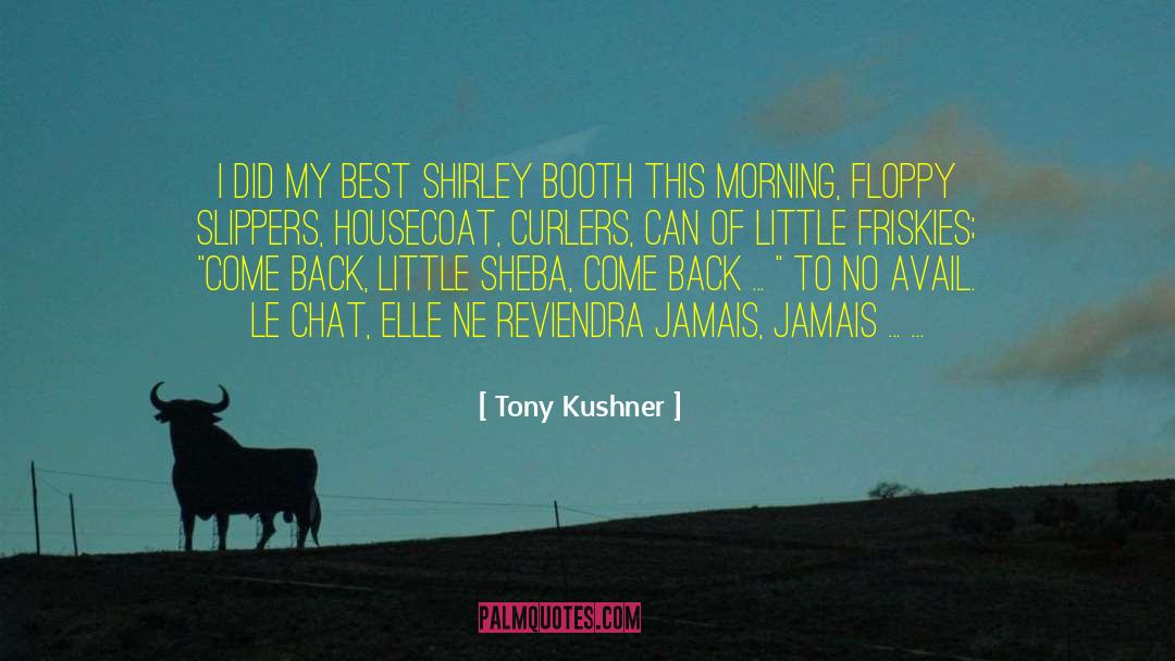 Tony Kushner quotes by Tony Kushner