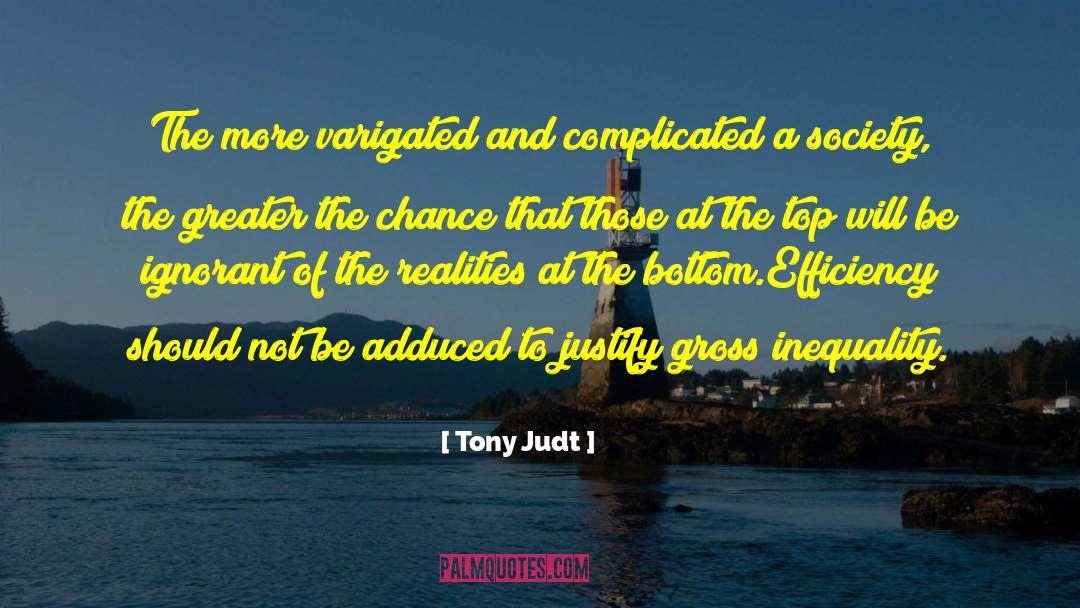 Tony Stark quotes by Tony Judt