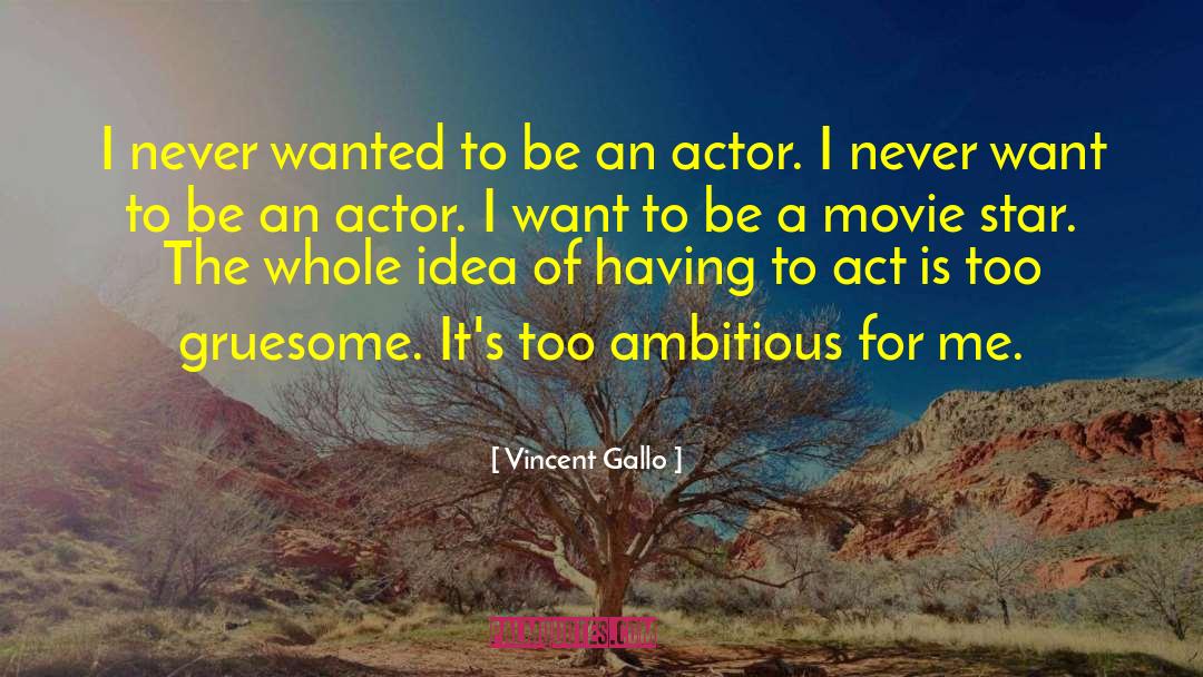 Too Ambitious quotes by Vincent Gallo