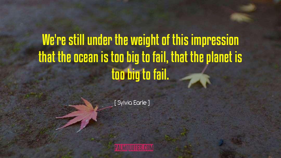 Too Big To Fail Sorkin quotes by Sylvia Earle