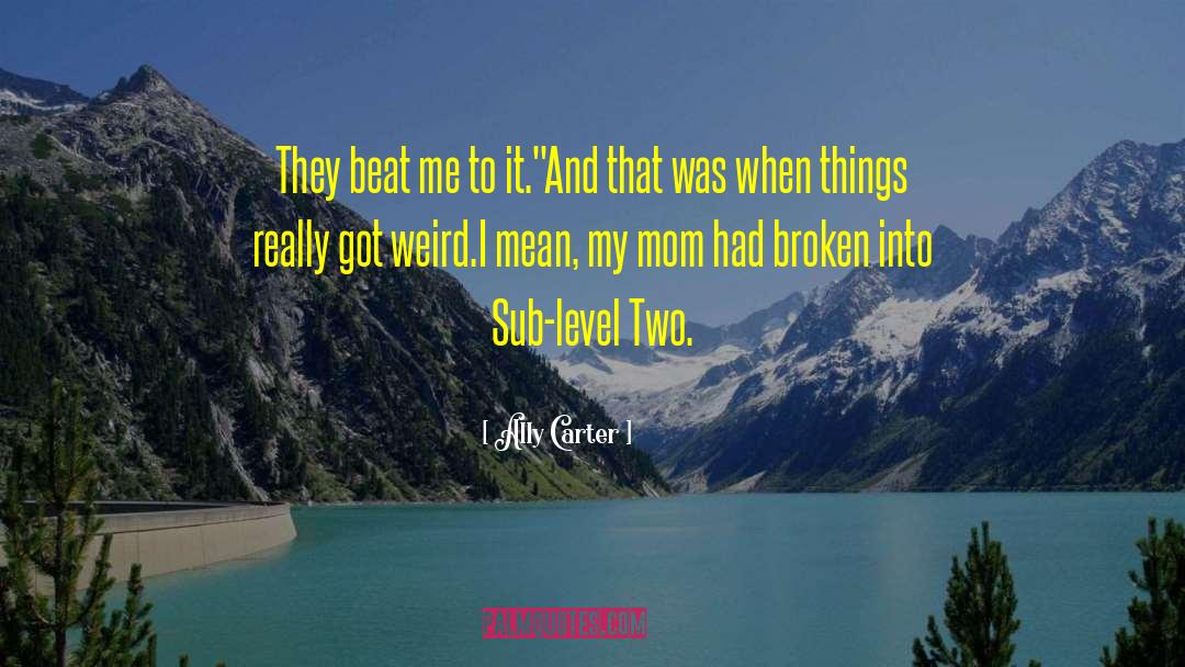Too Broken quotes by Ally Carter