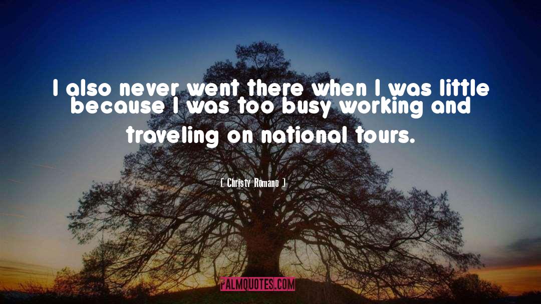 Too Busy Working quotes by Christy Romano