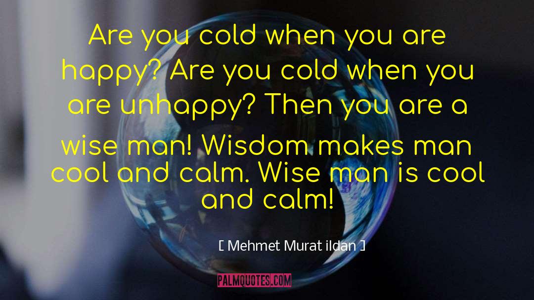 Too Cool quotes by Mehmet Murat Ildan