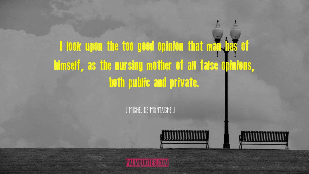 Too Good quotes by Michel De Montaigne