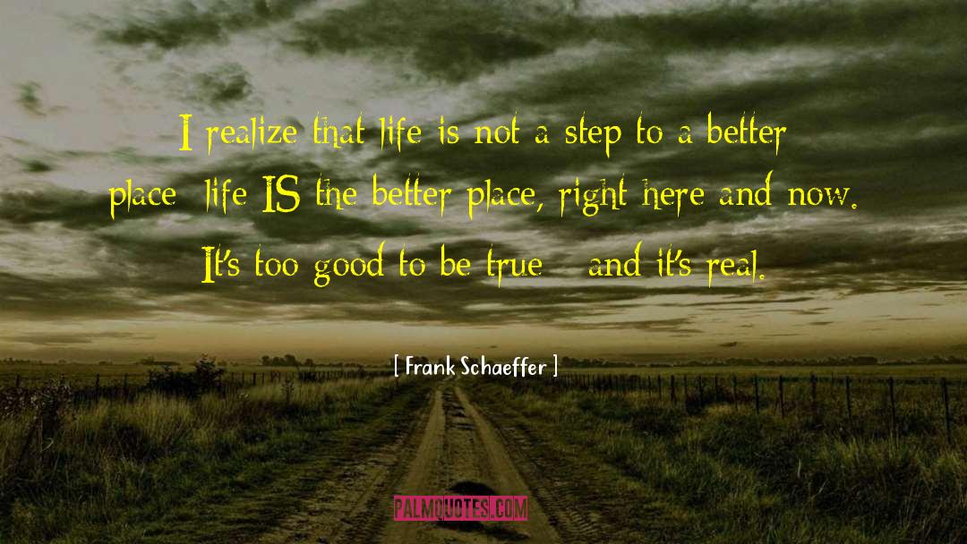 Too Good To Be True quotes by Frank Schaeffer