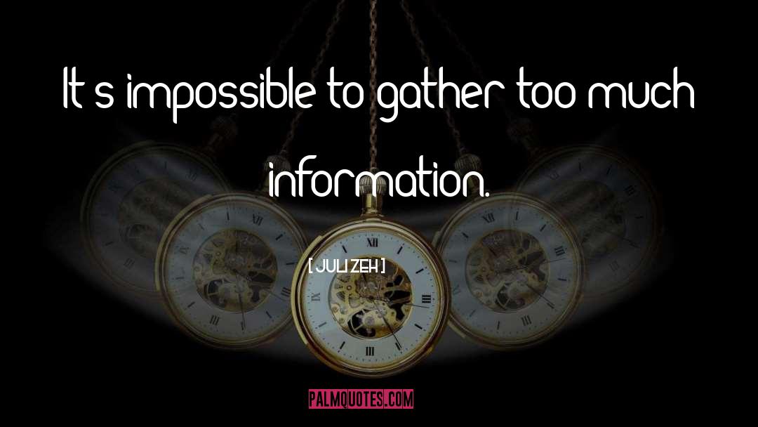 Too Much Information quotes by Juli Zeh