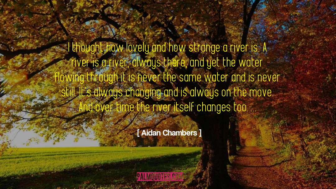 Too Much Rain Funny quotes by Aidan Chambers