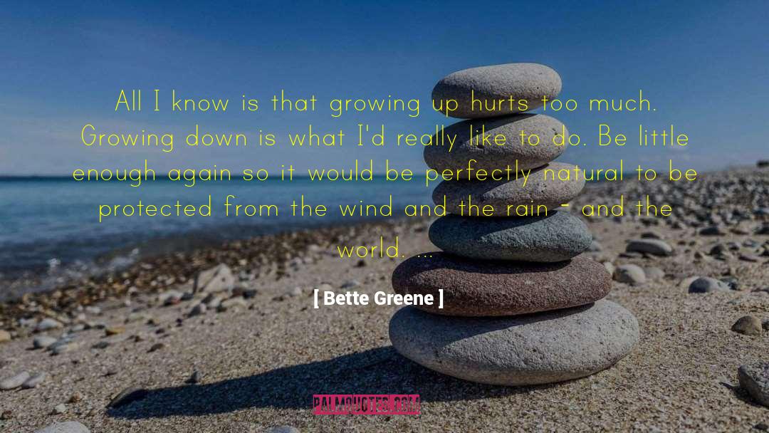 Too Much Rain Funny quotes by Bette Greene