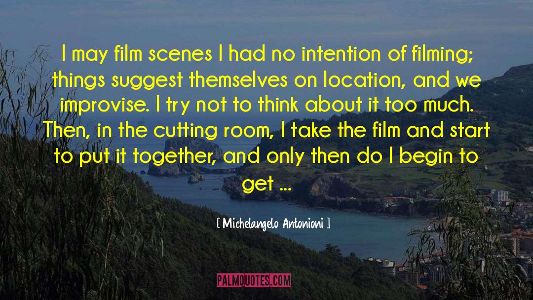 Too Much Work quotes by Michelangelo Antonioni