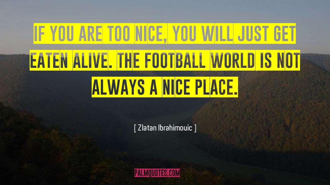Too Nice quotes by Zlatan Ibrahimovic