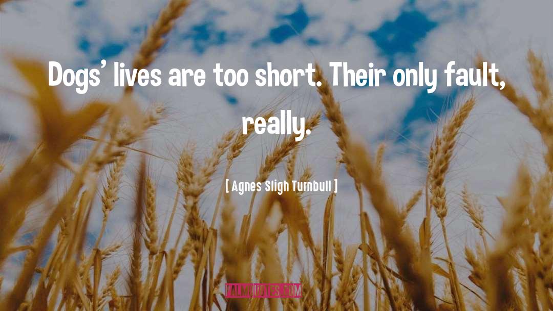 Too Short quotes by Agnes Sligh Turnbull