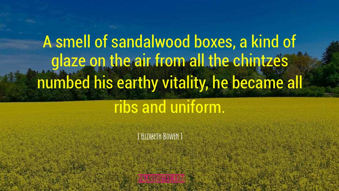 Tool Boxes quotes by Elizabeth Bowen