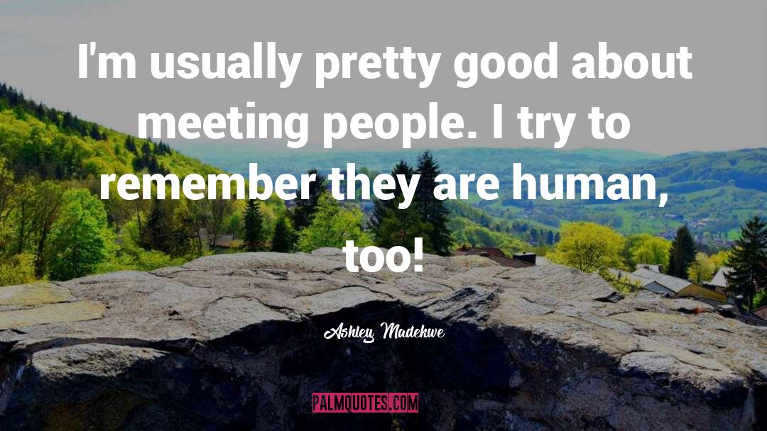 Toolbox Meeting quotes by Ashley Madekwe