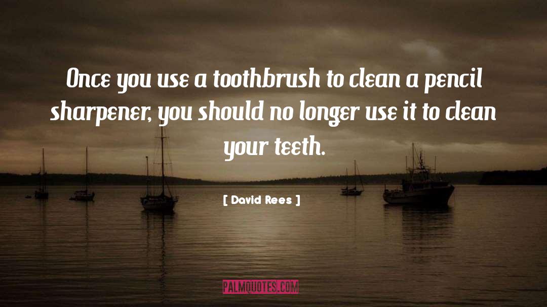 Toothbrushes quotes by David Rees