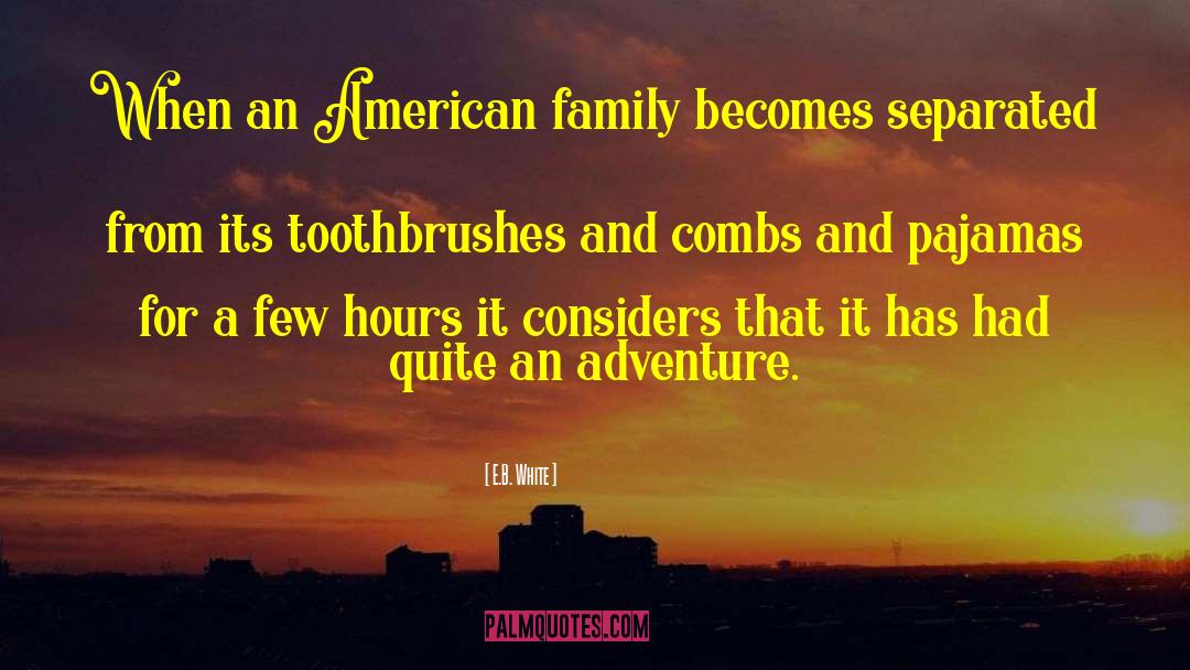 Toothbrushes quotes by E.B. White