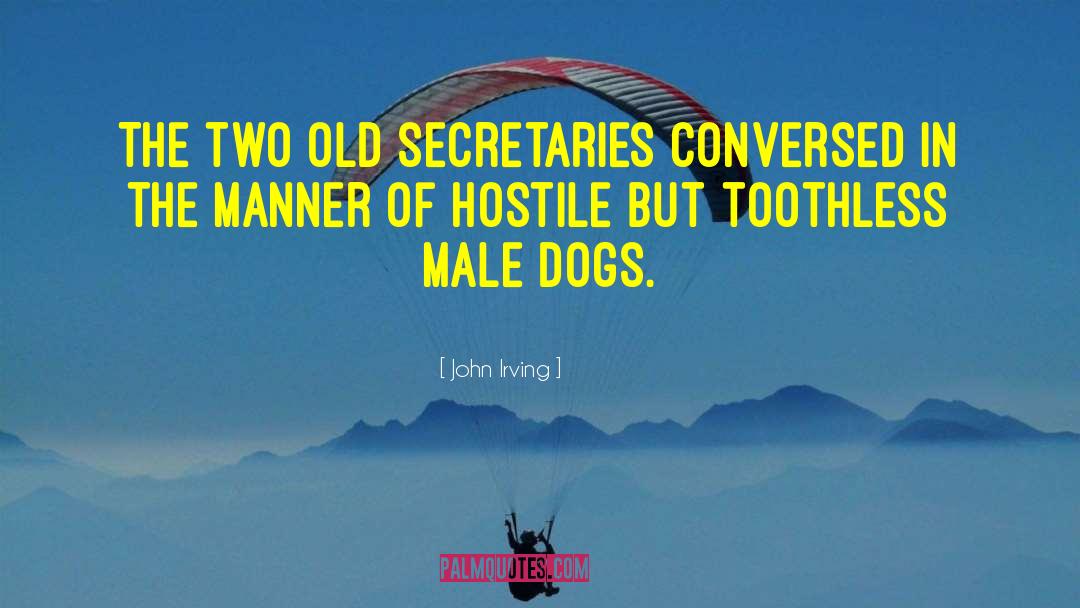 Toothless quotes by John Irving