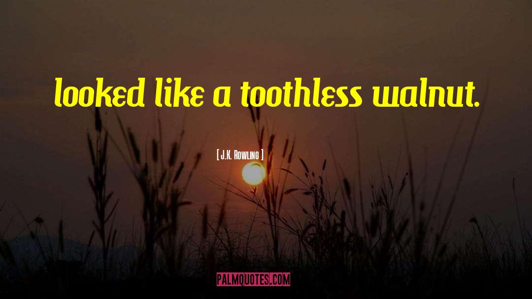 Toothless quotes by J.K. Rowling