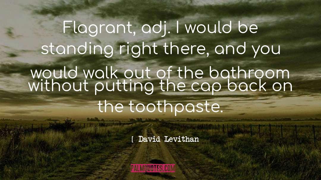Toothpaste quotes by David Levithan