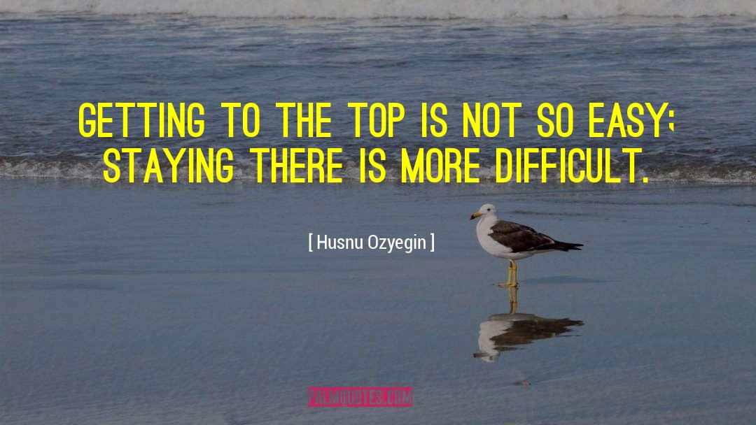 Top 40 quotes by Husnu Ozyegin