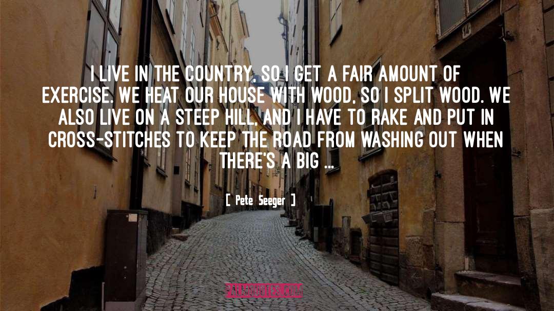 Top Of The Hill quotes by Pete Seeger