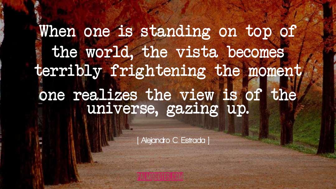 Top Of The World quotes by Alejandro C. Estrada